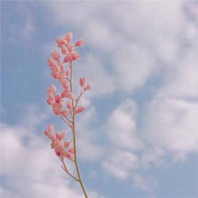 沙城战记手游下载
