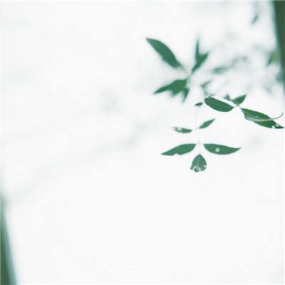 吞食三国手游下载